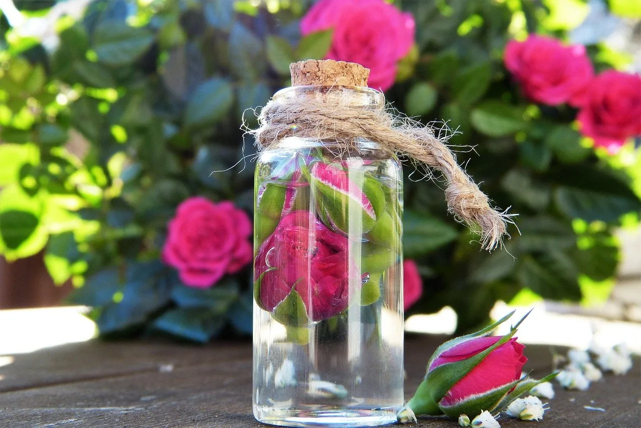 Rose water toner