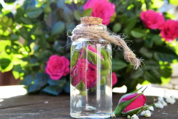 Rose water toner